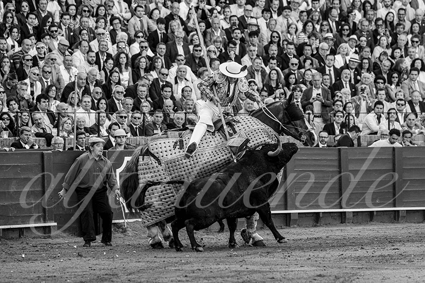 20250510 sevilla cuadrillas 004 copie