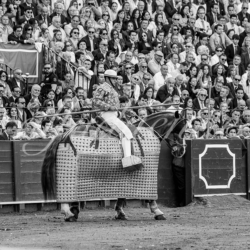 20250510 sevilla cuadrillas 003 copie