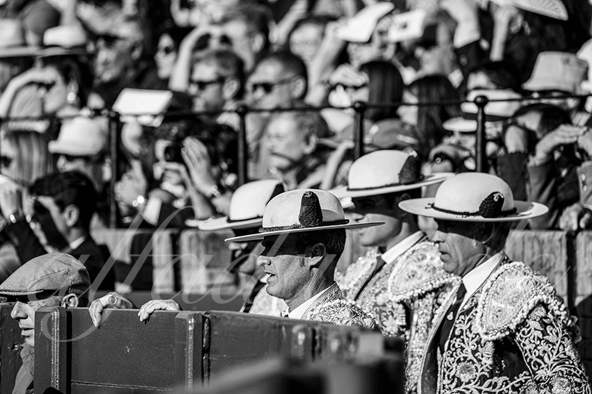 20250510 sevilla cuadrillas 002 copie