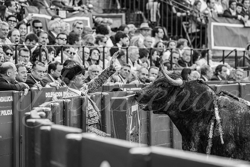 20250511 sevilla 011 fd