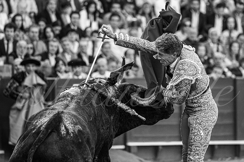 20250511 sevilla 010 fd