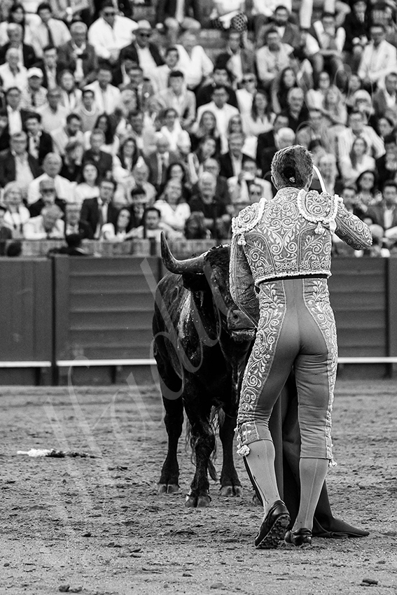 20250511 sevilla 009 fd