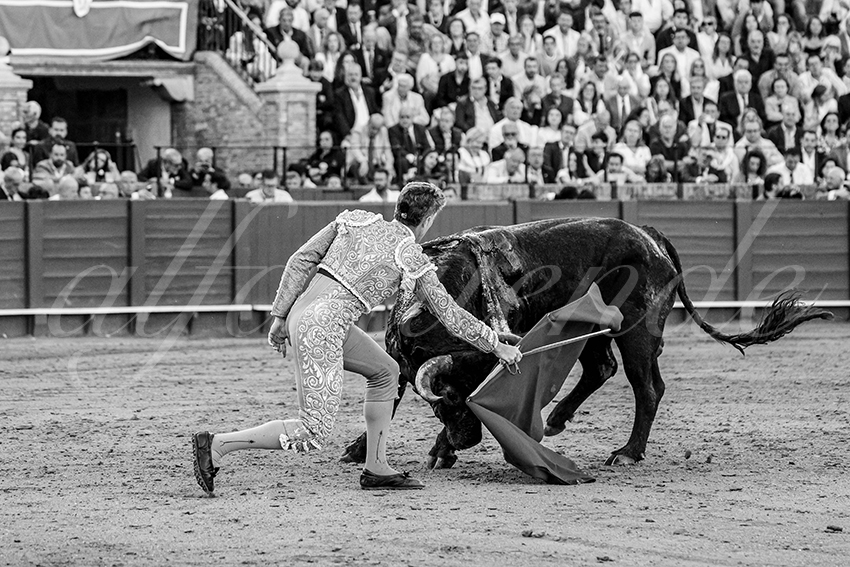 20250511 sevilla 008 fd