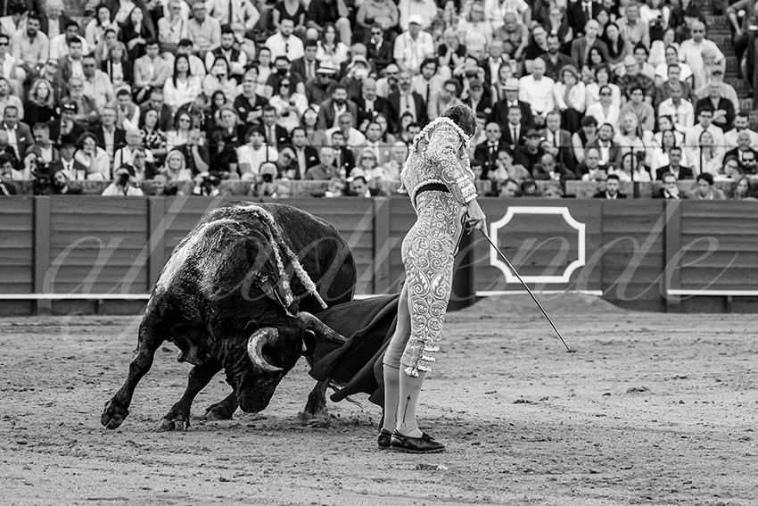 20250511 sevilla 007 fd