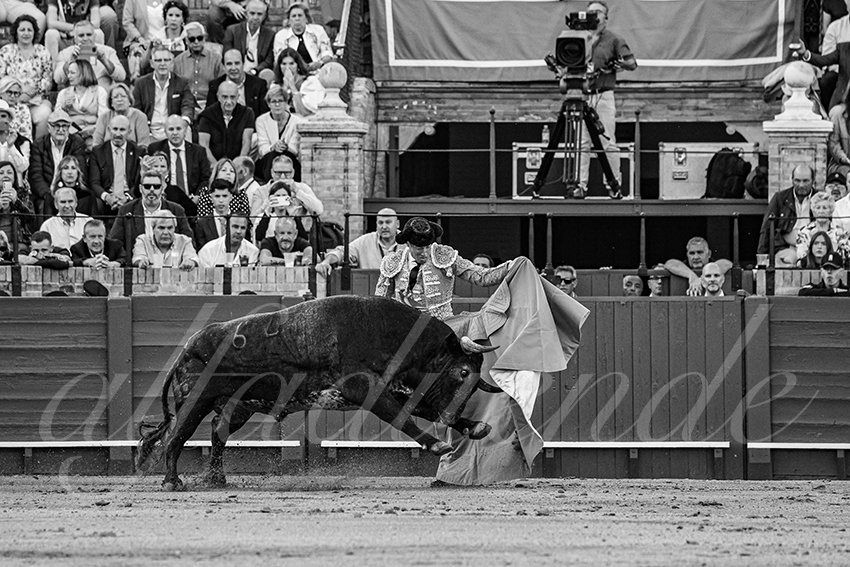 20250511 sevilla 006 fd