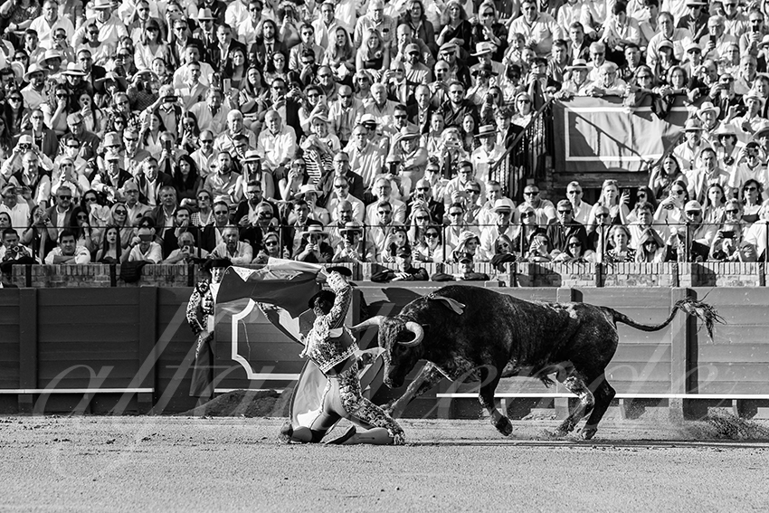 20250511 sevilla 005 fd