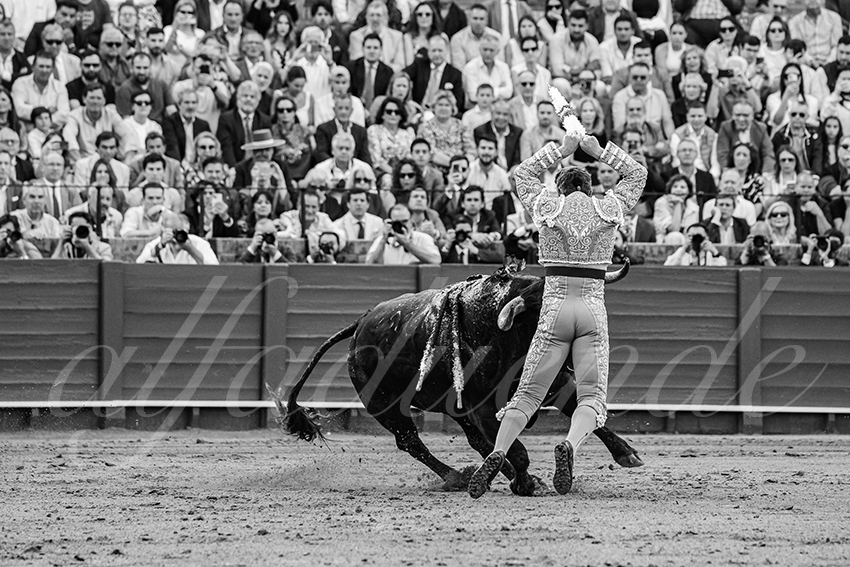 20250511 sevilla 004 fd