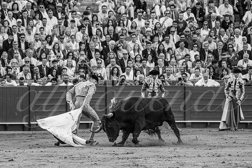 20250511 sevilla 003 fd