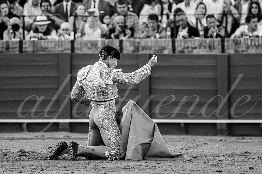 20250511 sevilla 002 fd