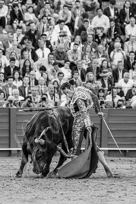 20250511 sevilla 022 fd