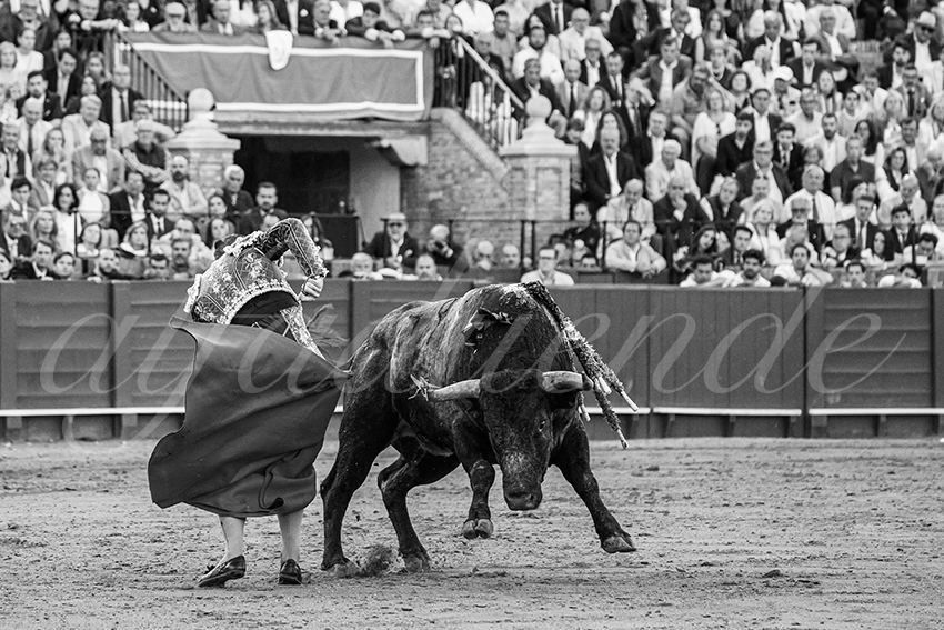 20250511 sevilla 021 fd