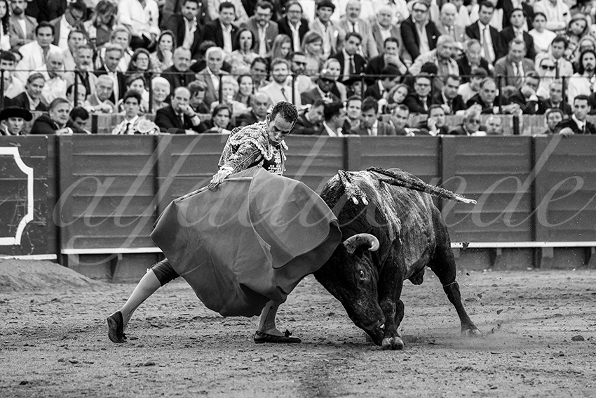 20250511 sevilla 020 fd