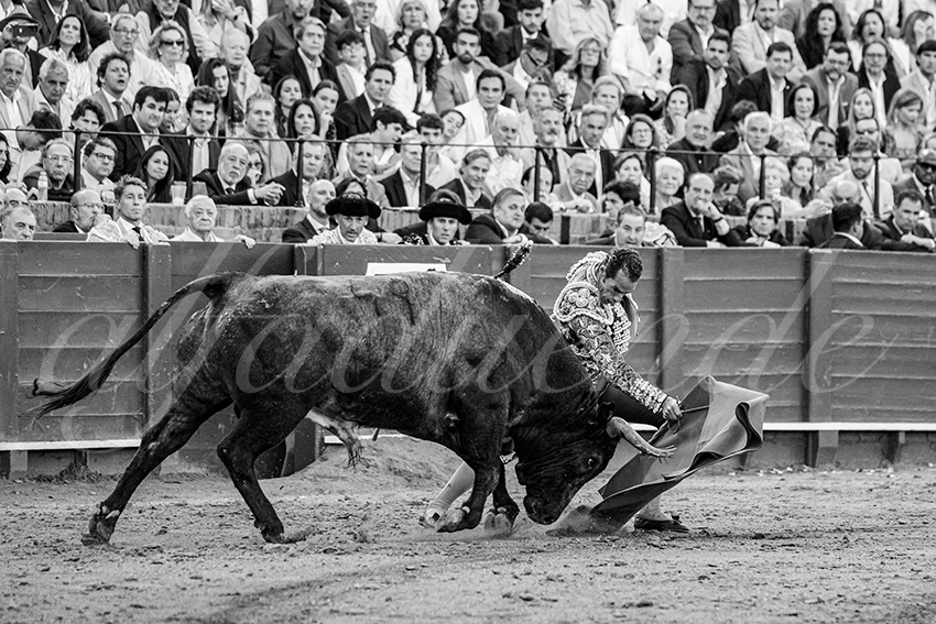 20250511 sevilla 019 fd