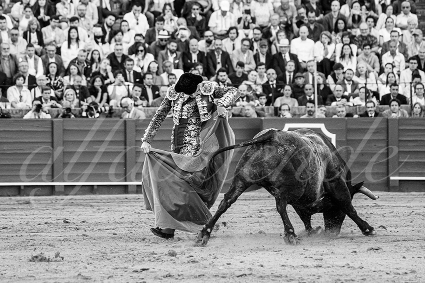 20250511 sevilla 018 fd