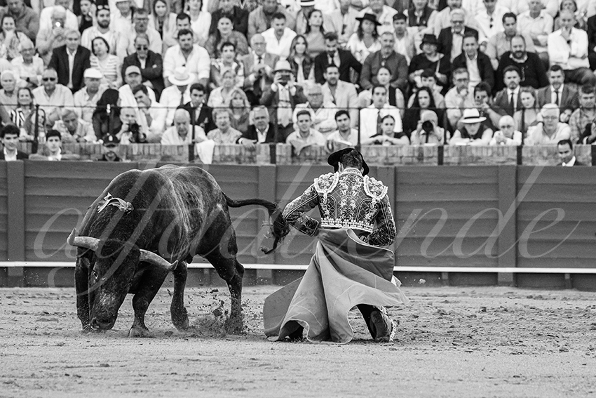 20250511 sevilla 017 fd