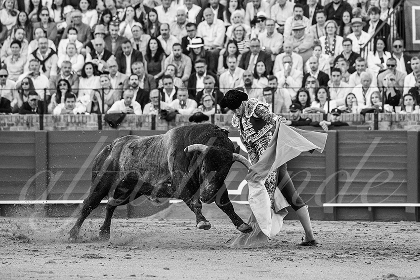 20250511 sevilla 016 fd