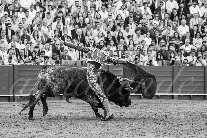 20250511 sevilla 015 fd