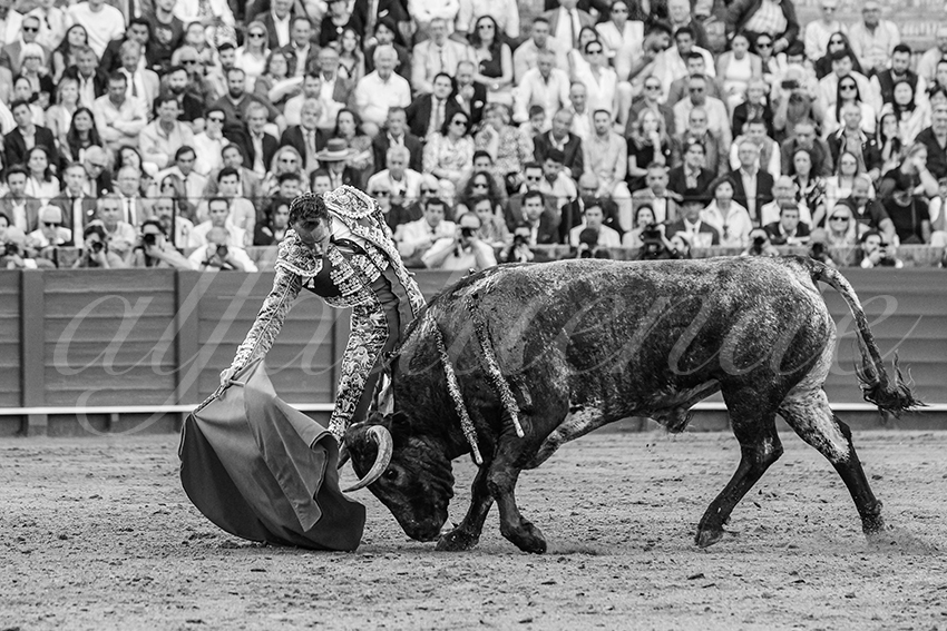 20250511 sevilla 014 fd