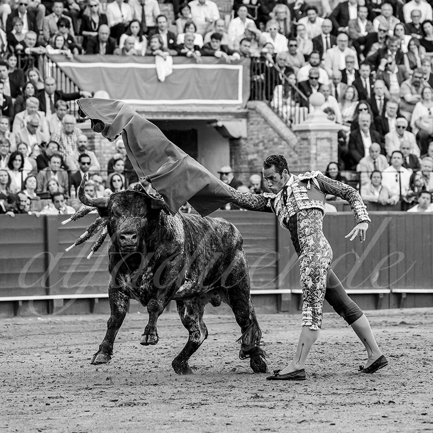 20250511 sevilla 013 fd