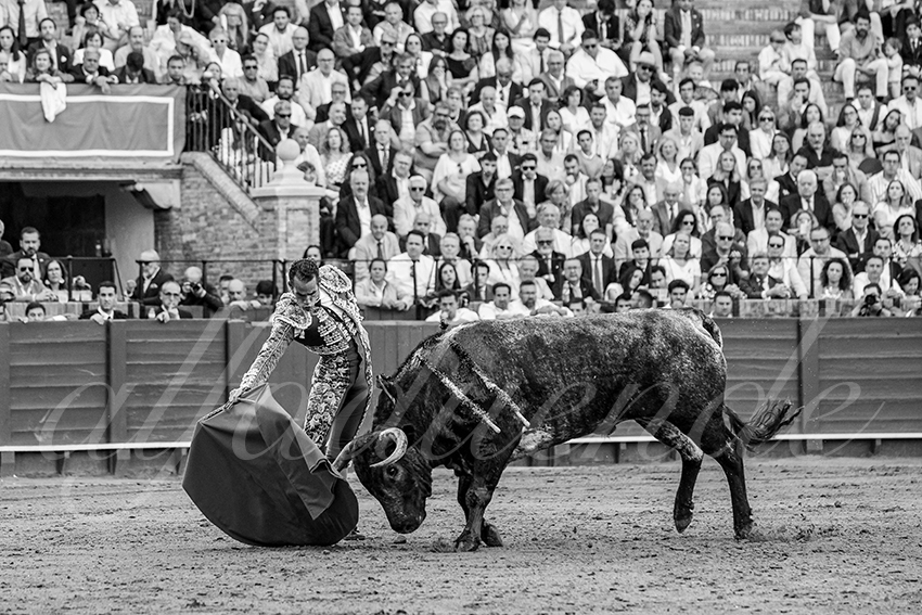 20250511 sevilla 012 fd