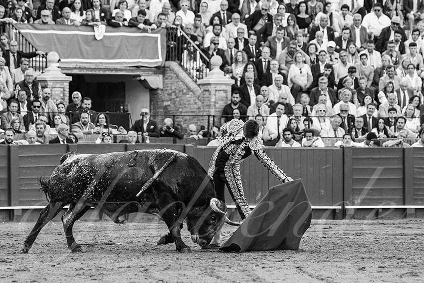 20250511 sevilla 032 fd