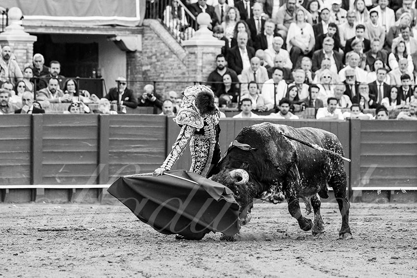 20250511 sevilla 031 fd