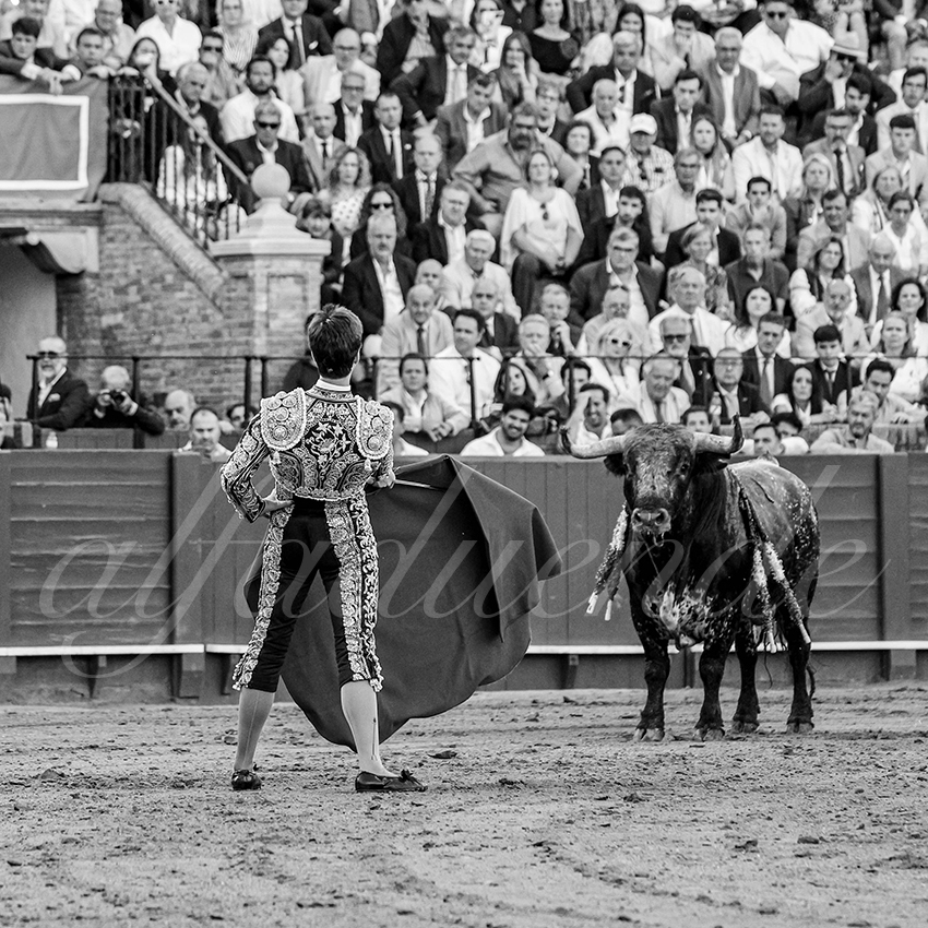 20250511 sevilla 030 fd