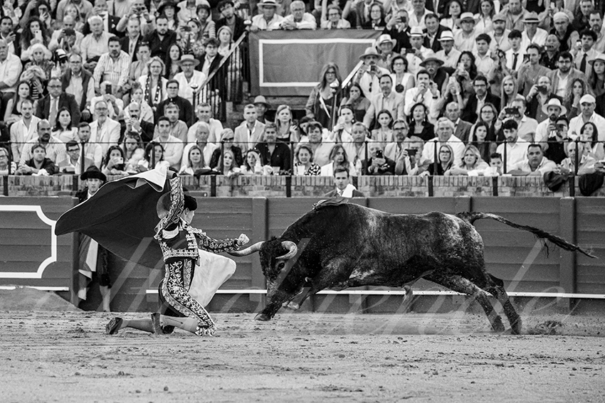 20250511 sevilla 029 fd