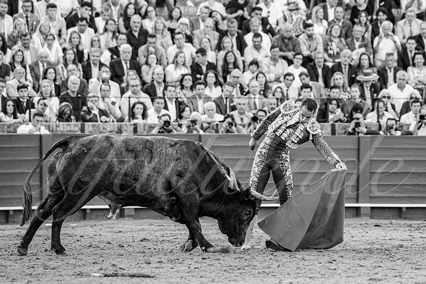 20250511 sevilla 027 fd