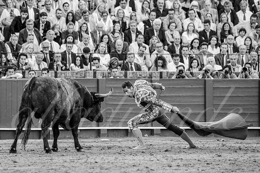 20250511 sevilla 026 fd