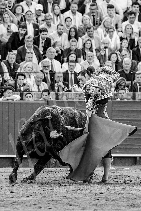 20250511 sevilla 025 fd