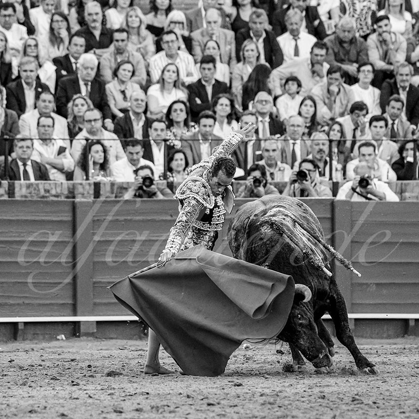 20250511 sevilla 024 fd