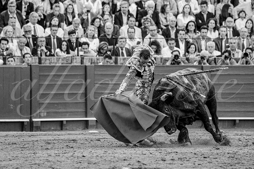 20250511 sevilla 023 fd