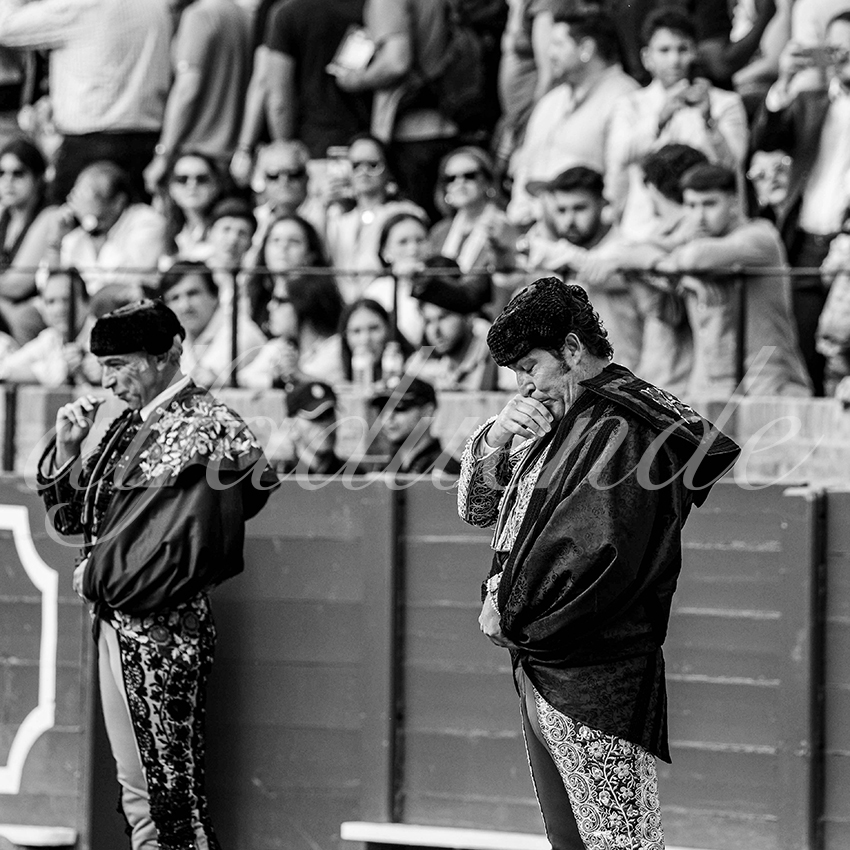 20250511 sevilla cuadrillas 002 copie