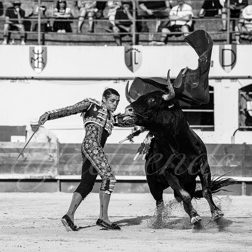 20250601 ales tarde 011 fd