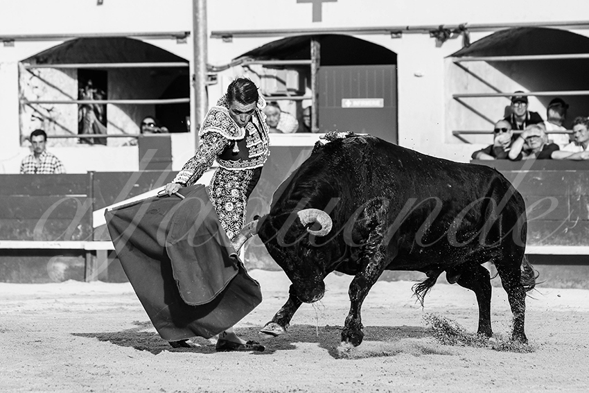 20250601 ales tarde 010 fd