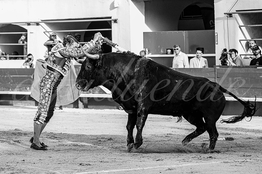 20250601 ales tarde 009 fd