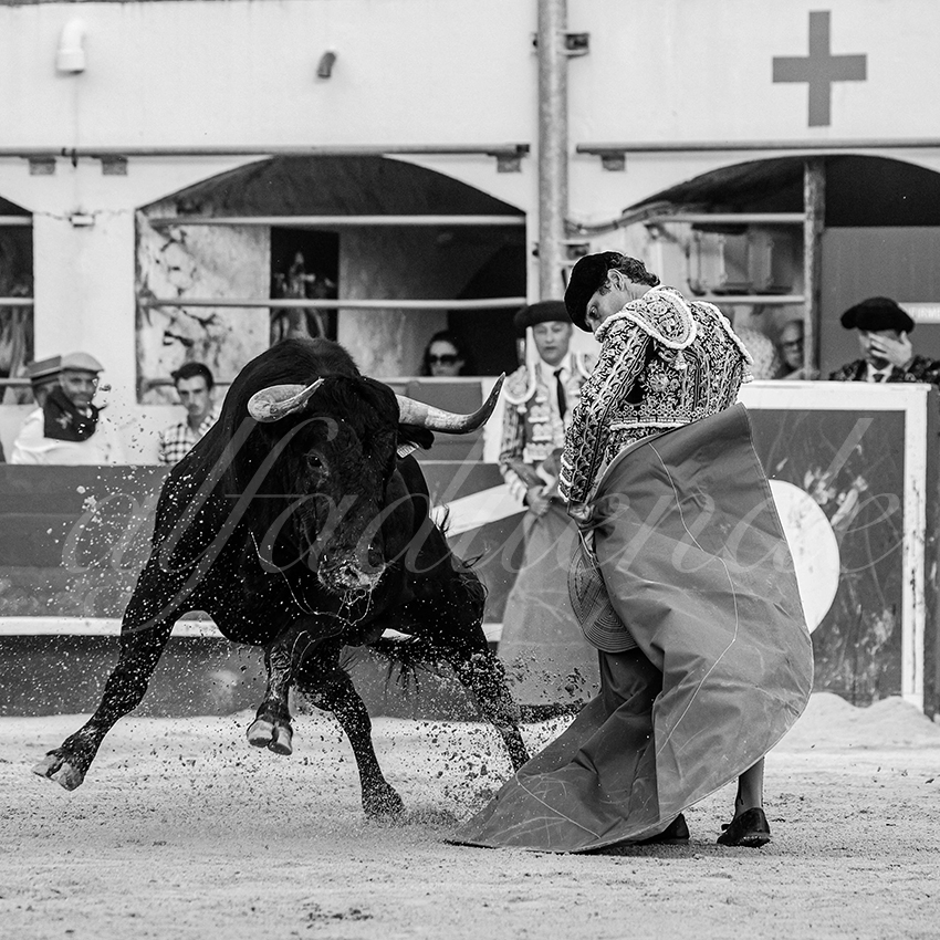 20250601 ales tarde 008 fd