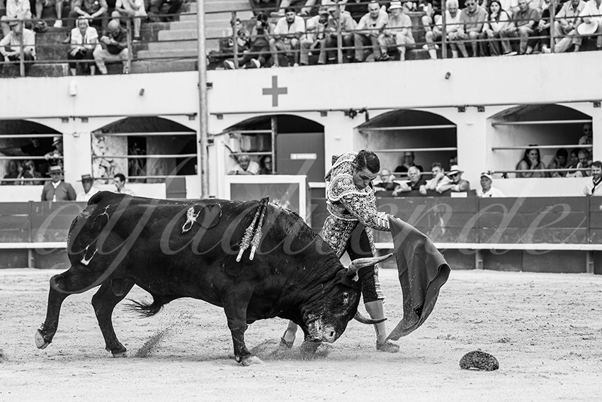 20250601 ales tarde 006 fd