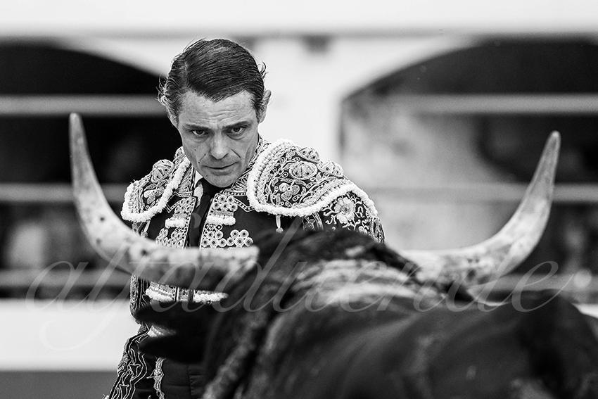 20250601 ales tarde 005 fd