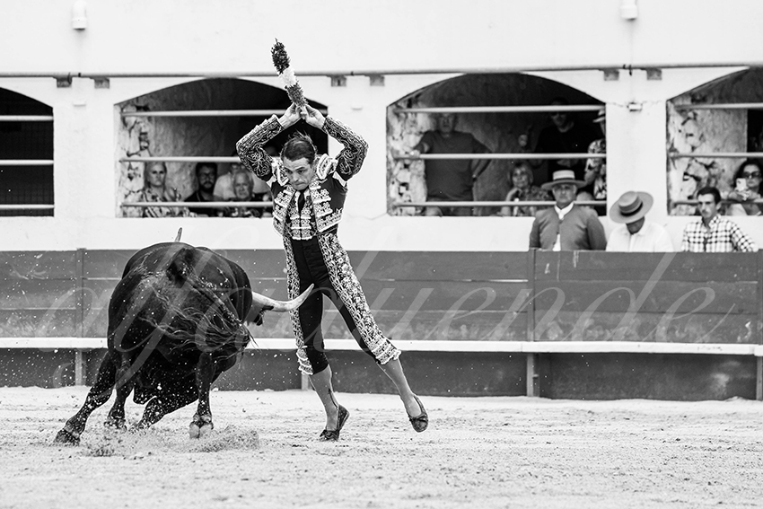 20250601 ales tarde 004 fd