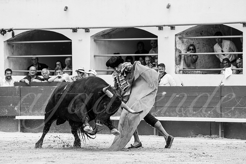 20250601 ales tarde 003 fd