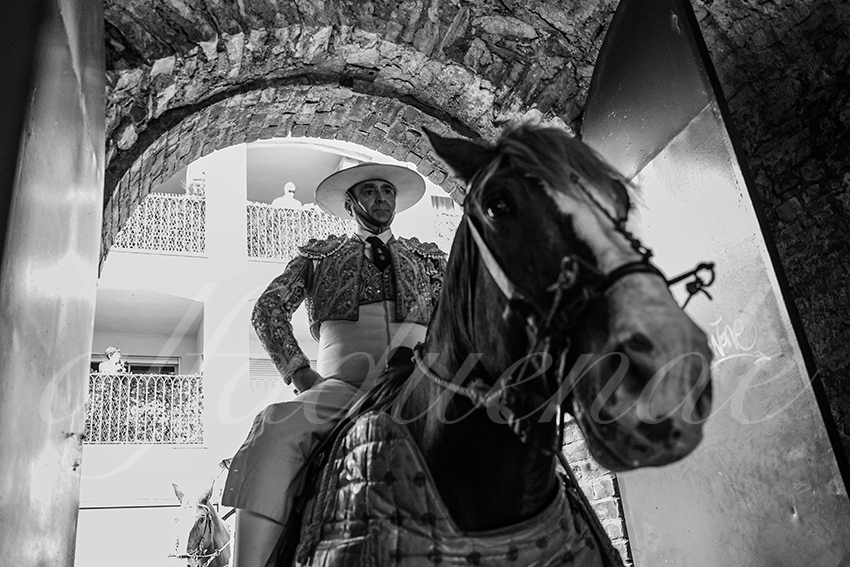 20250601 ales tarde 002 fd