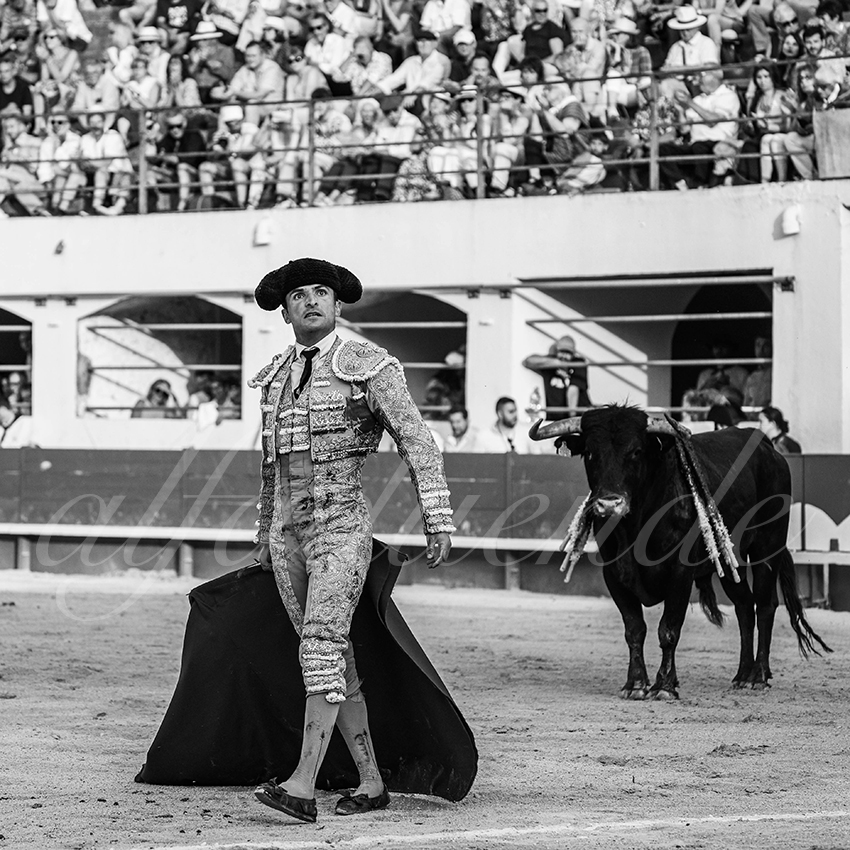 20250601 ales tarde 022 fd