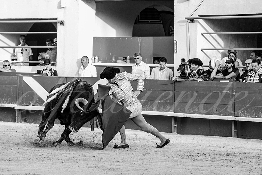 20250601 ales tarde 021 fd