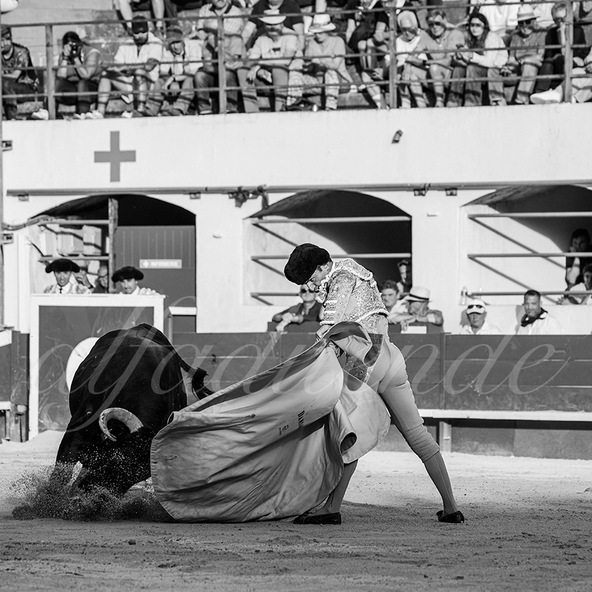 20250601 ales tarde 020 fd