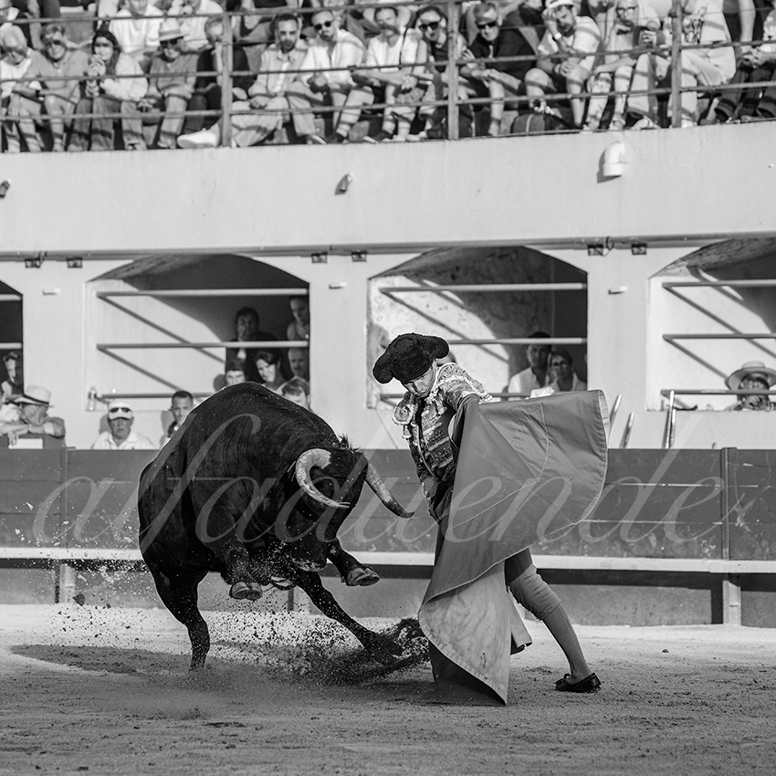 20250601 ales tarde 019 fd