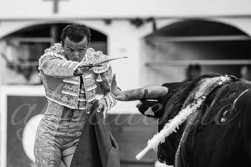 20250601 ales tarde 018 fd