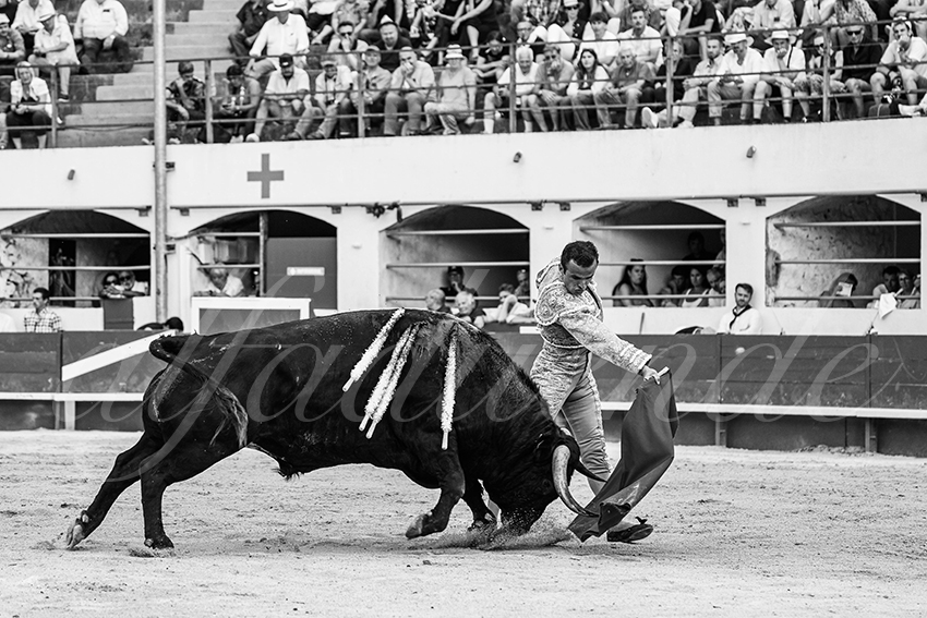 20250601 ales tarde 017 fd