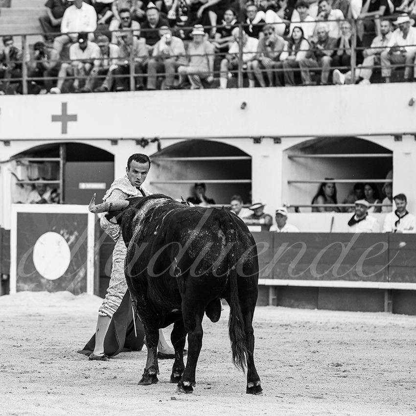 20250601 ales tarde 016 fd